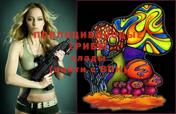 шишки Абдулино