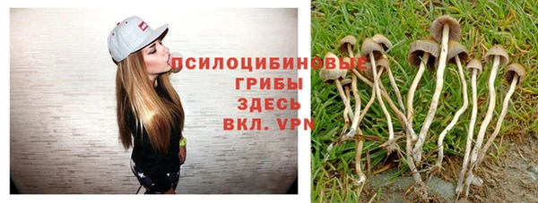 шишки Абдулино